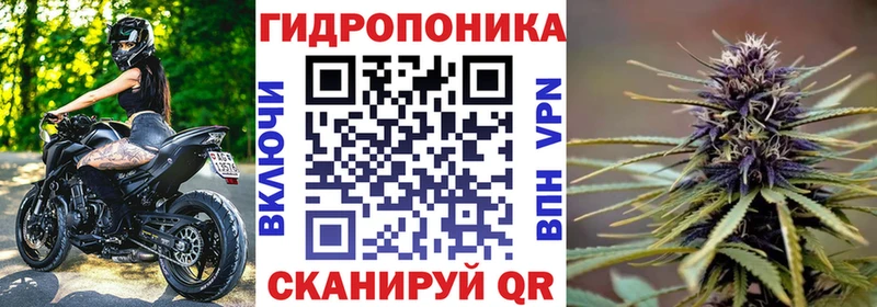 Канабис план Высоцк